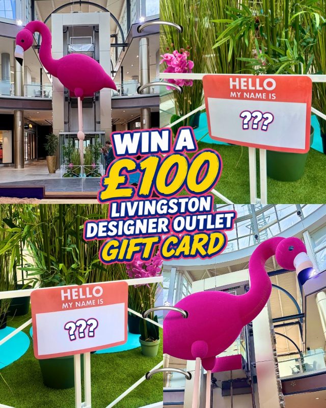 WIN a £100 LDO voucher by naming our flamingos! 🦩☀️Our summer party guests have officially arrived, and now it’s over to you to help us name them.Comment your most creative names for both flamingos below for the chance to win. We have 2 x £100 Livingston Designer Outlet vouchers up for grabs, one for each flamingo name chosen. 👏To enter:🦩 Follow @livingstondesigneroutlet🦩 Like this post🦩 Comment your name suggestion belowT&Cs: Giveaway ends Friday 10th July at 11:59PM GMT. Two winners will be selected and contacted via Direct Message from this Livingston Designer Outlet account on Saturday 11th July. Each winner must respond within 24 hours to claim the prize, otherwise a new winner will be chosen. In order to receive the gift card, winners must be able to collect the prize in-person from Livingston Designer Outlet. Please be aware of fake accounts – we will never request personal or payment information. This competition is in no way sponsored, endorsed, administered by, or associated with Facebook or Instagram